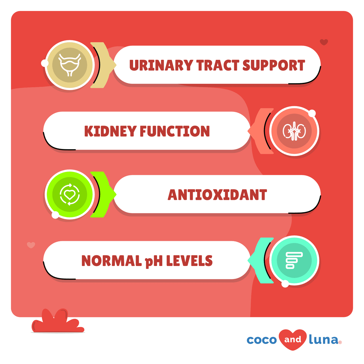 Coco and Luna Urinary Tract - Cranberry, Bladder Support, Dog  - 120 Tablets