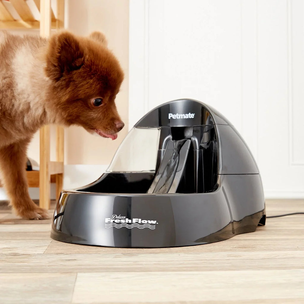 Petmate Deluxe Fresh Flow Purifying Water Pet Fountain
