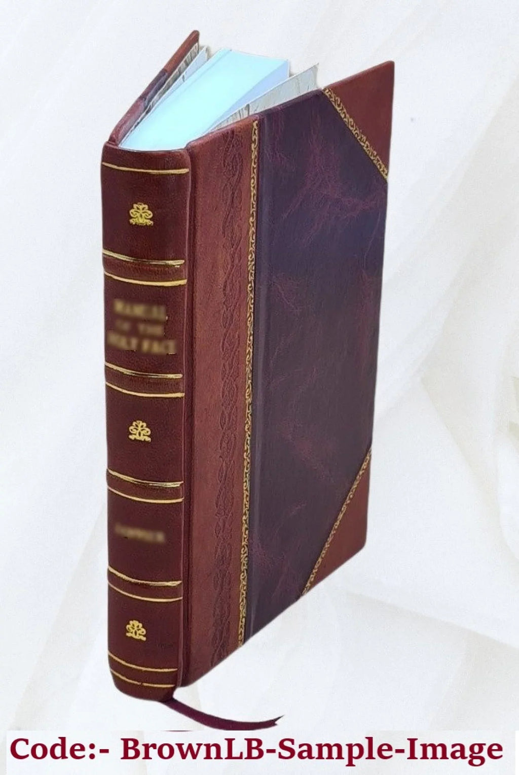 Oeuvres de Salomon Gessner... 1795 [Leather Bound]