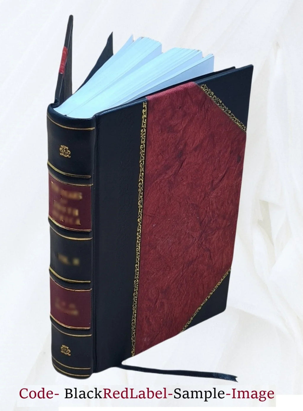 In the field (1914-1915) the impressions of an officer of light cavalry, by Marcel Dupont [pseud.] translated by . . Hill. 1916 [Leather Bound]