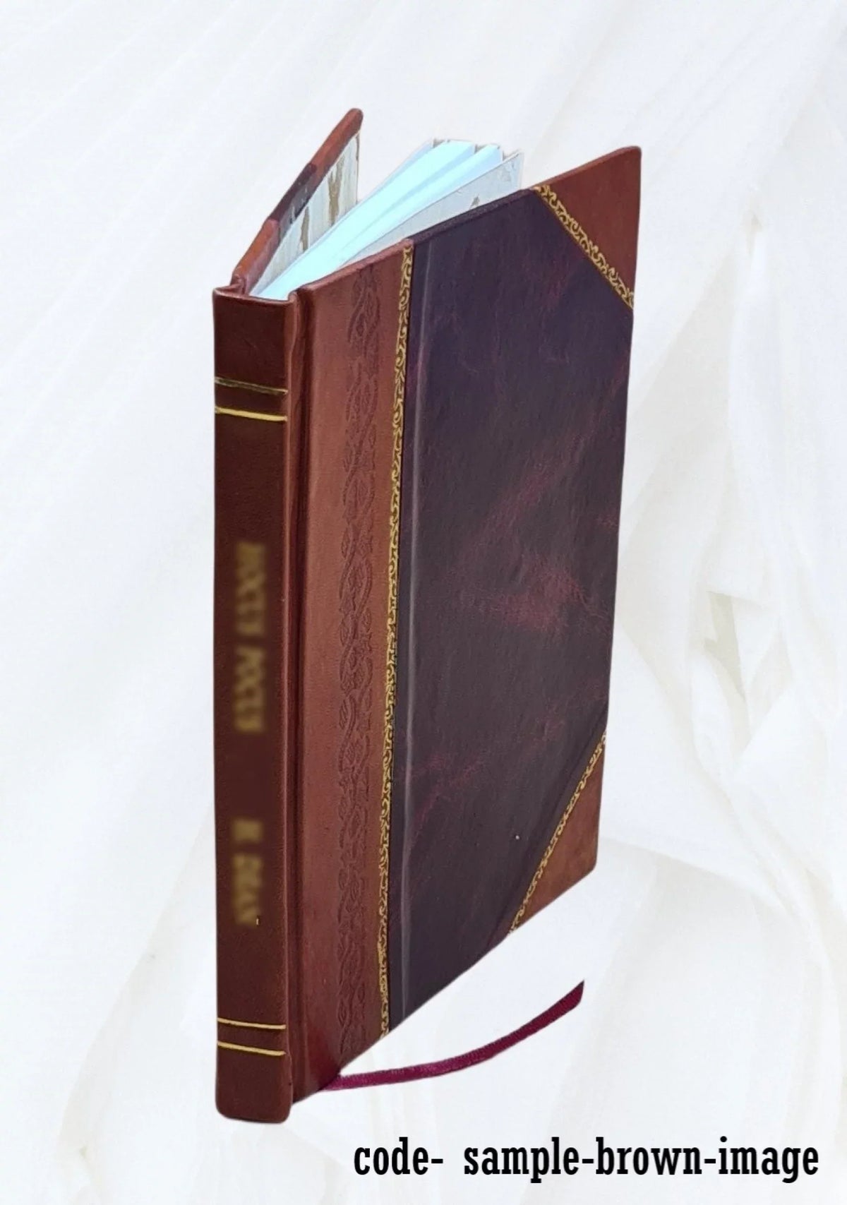 The geology of the country around Carlisle. (Explanation of sheet 107, with parts of 101 & 106 old series; sheets 16 & 17, with parts of 12, 18, 22 & 23 new series) 1899 [Leather
